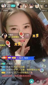 娱乐718网红吃瓜0,网红吃瓜盛宴,揭秘娱乐圈幕后故事