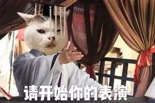 娱乐圈老瓜新吃,老瓜新吃,揭秘明星幕后故事